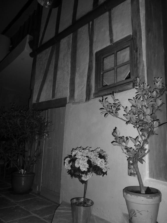 Les 5 Sens Bed and Breakfast Eksteriør billede